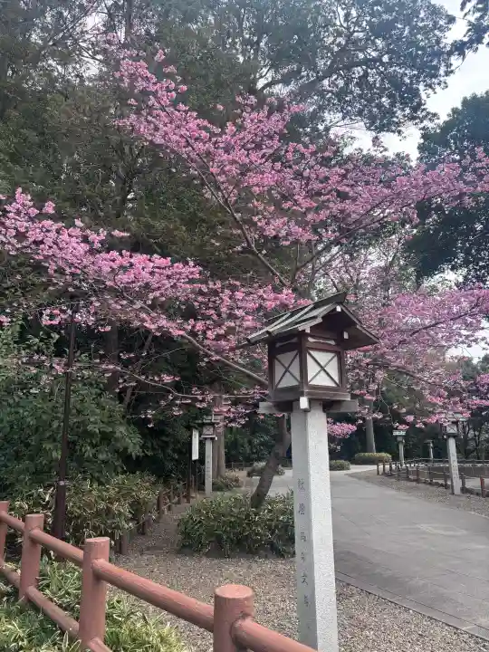 櫻木神社の{uncategorized: "未分類", other: "その他", undefined: "問題あり", building: "その他建物", grave: "お墓", sacred_gate: "鳥居", guardian: "狛犬", statue: "像", buddha: "仏像", history: "歴史", nature: "自然", garden: "庭園", animal: "動物", pagoda: "塔", temizu: "手水舎", mountain_gate: "山門・神門", sanctuary: "本殿・本堂", subordinate: "末社・摂社", art: "芸術", scenery: "景色", jizo: "地蔵", ema: "絵馬", goshuin: "御朱印", omikuji: "おみくじ", items: "授与品その他", amulet: "お守り", goshuincho: "御朱印帳", eats: "食事", festival: "お祭り", votive_dance: "神楽", shichigosan: "七五三参", wedding: "結婚式", experience: "体験その他", initially: "初詣", around: "周辺", anti_infection: "感染症対策"}