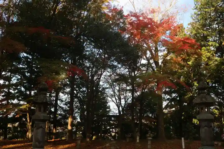 國祖神社の自然