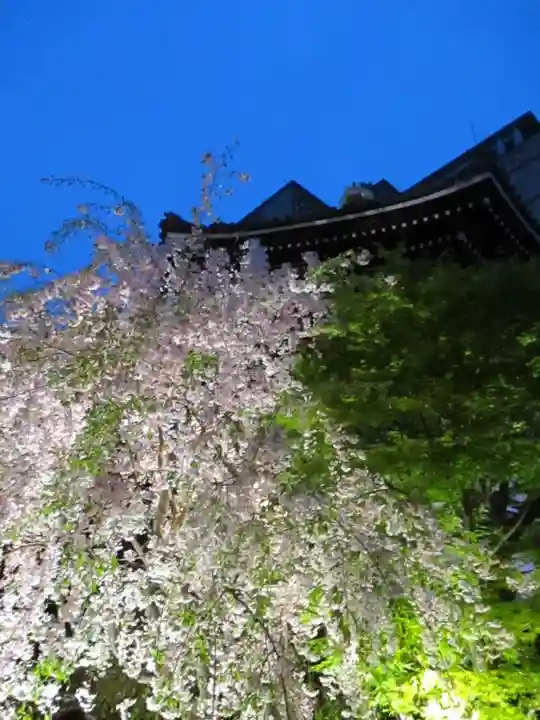 頂法寺(六角堂)の景色