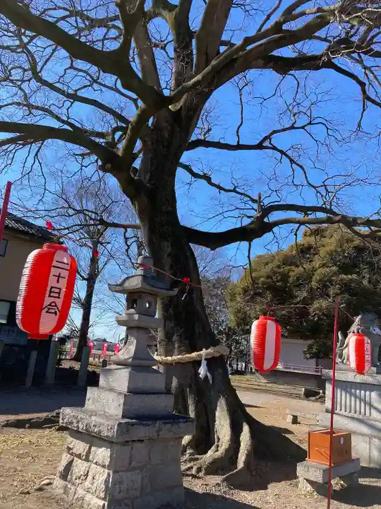 島田八坂神社のその他建物