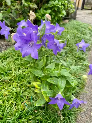 功徳林寺(東京都)