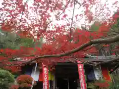 山科聖天 雙林院（双林院）　の自然