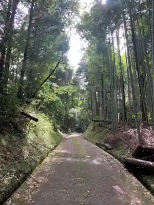 八幡神社の周辺