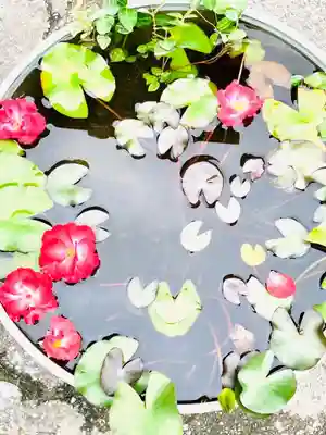 楽法寺（雨引観音）(茨城県)