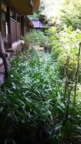 大雄寺の庭園