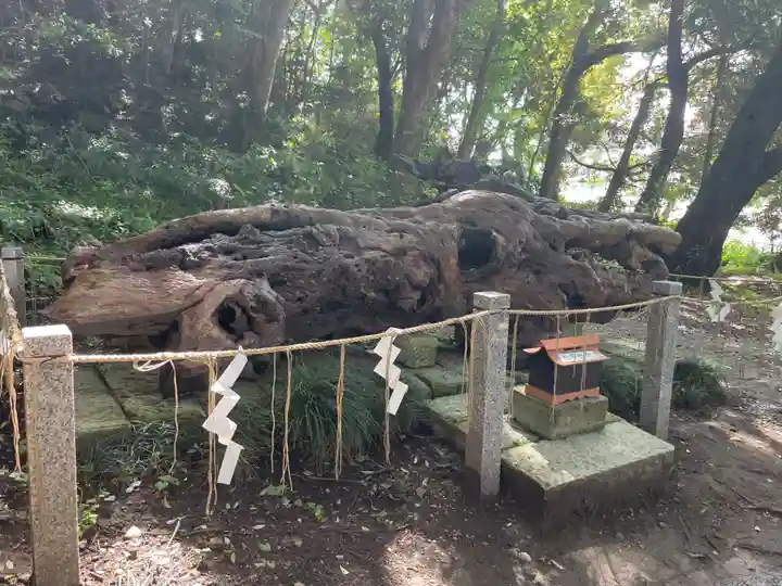 泉神社(茨城県)