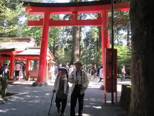 箱根神社の鳥居