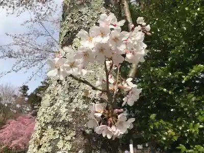 施福寺(大阪府)