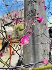 綱敷天神社(大阪府)