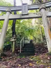 白山神社の鳥居