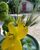 滑川神社 - 仕事と子どもの守り神の自然