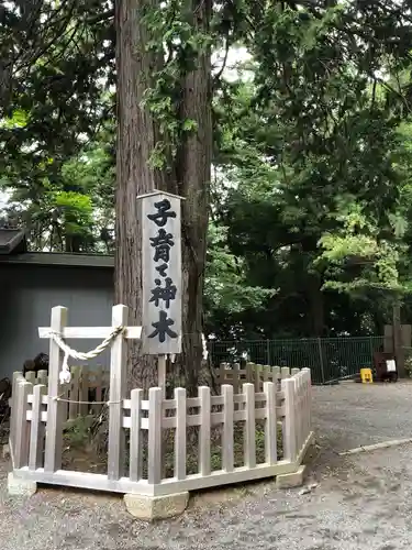 新倉富士浅間神社の自然