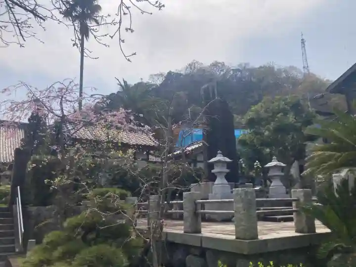 伝福寺の{uncategorized: "未分類", other: "その他", undefined: "問題あり", building: "その他建物", grave: "お墓", sacred_gate: "鳥居", guardian: "狛犬", statue: "像", buddha: "仏像", history: "歴史", nature: "自然", garden: "庭園", animal: "動物", pagoda: "塔", temizu: "手水舎", mountain_gate: "山門・神門", sanctuary: "本殿・本堂", subordinate: "末社・摂社", art: "芸術", scenery: "景色", jizo: "地蔵", ema: "絵馬", goshuin: "御朱印", omikuji: "おみくじ", items: "授与品その他", amulet: "お守り", goshuincho: "御朱印帳", eats: "食事", festival: "お祭り", votive_dance: "神楽", shichigosan: "七五三参", wedding: "結婚式", experience: "体験その他", initially: "初詣", around: "周辺", anti_infection: "感染症対策"}