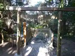 伊射波神社の鳥居