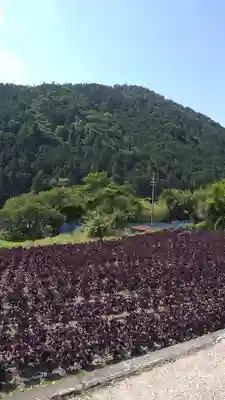 寂光院(京都府)