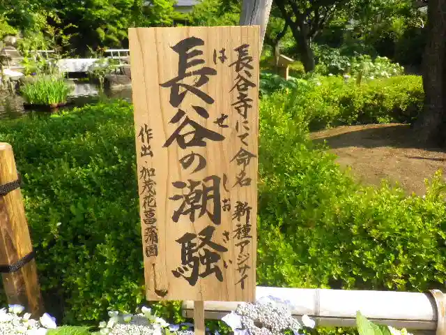 長谷寺のその他建物