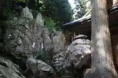 鹿島大神宮の自然