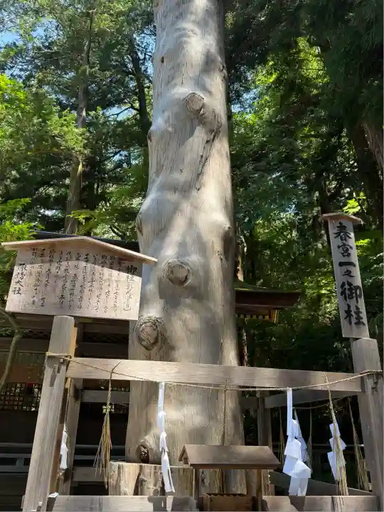 諏訪大社下社春宮(長野県)