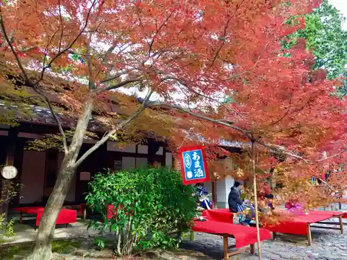真正極楽寺（真如堂）(京都府)