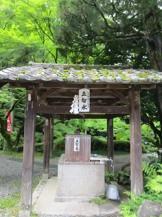 今熊野観音寺(京都府)