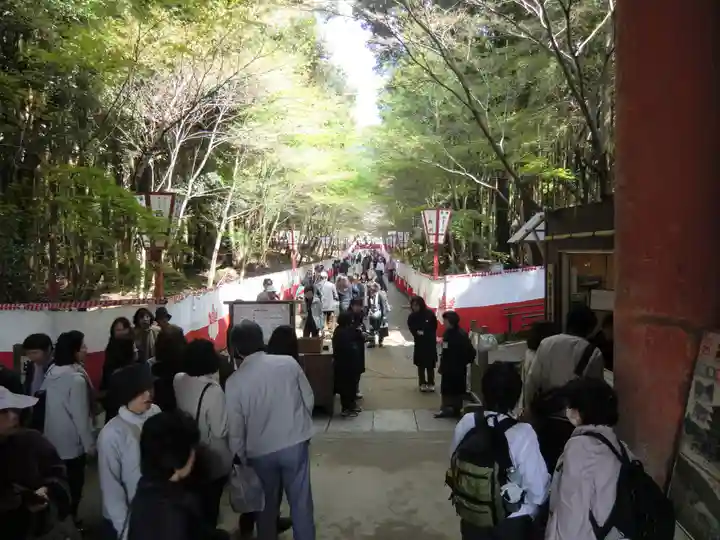 醍醐寺(京都府)