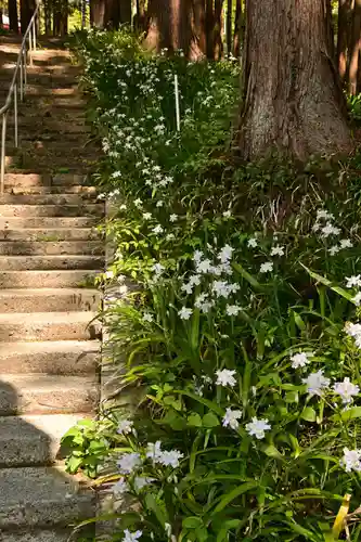 高蔵寺(福島県)