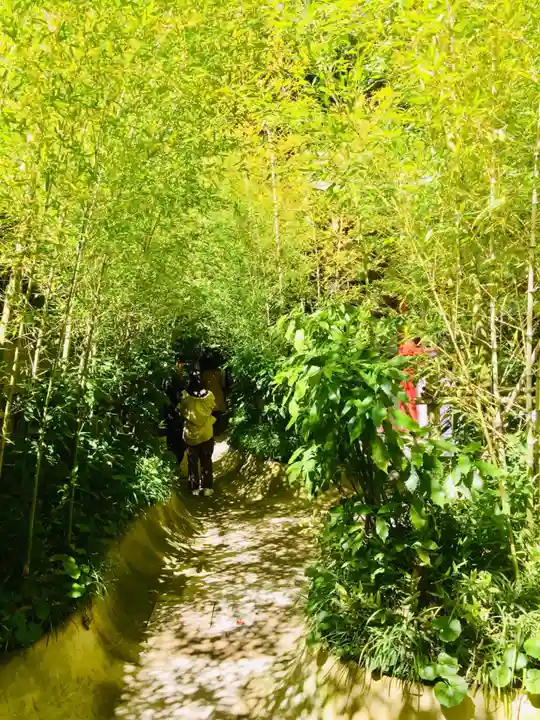 來宮神社の自然