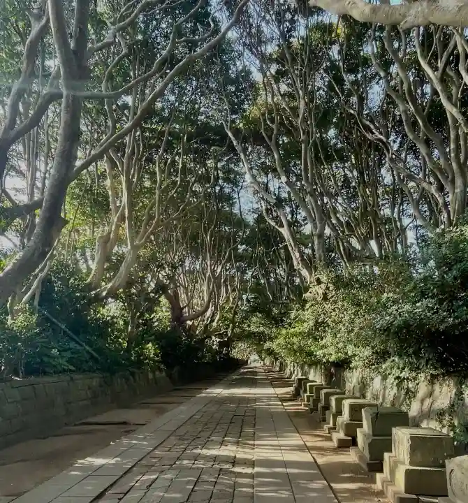 酒列磯前神社の{uncategorized: "未分類", other: "その他", undefined: "問題あり", building: "その他建物", grave: "お墓", sacred_gate: "鳥居", guardian: "狛犬", statue: "像", buddha: "仏像", history: "歴史", nature: "自然", garden: "庭園", animal: "動物", pagoda: "塔", temizu: "手水舎", mountain_gate: "山門・神門", sanctuary: "本殿・本堂", subordinate: "末社・摂社", art: "芸術", scenery: "景色", jizo: "地蔵", ema: "絵馬", goshuin: "御朱印", omikuji: "おみくじ", items: "授与品その他", amulet: "お守り", goshuincho: "御朱印帳", eats: "食事", festival: "お祭り", votive_dance: "神楽", shichigosan: "七五三参", wedding: "結婚式", experience: "体験その他", initially: "初詣", around: "周辺", anti_infection: "感染症対策"}