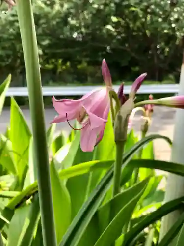 検見川神社の自然