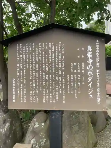 真楽寺(神奈川県)