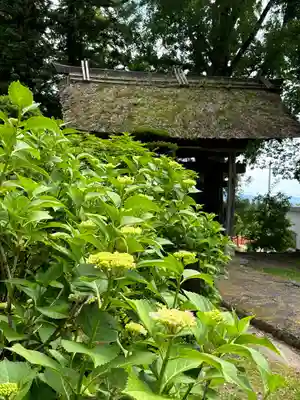 恵日寺(福島県)