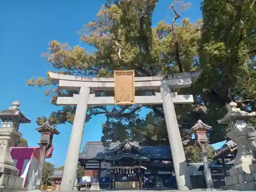 百舌鳥八幡宮(大阪府)