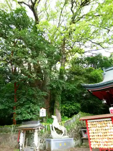 八幡朝見神社の自然
