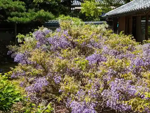 長慶院(京都府)