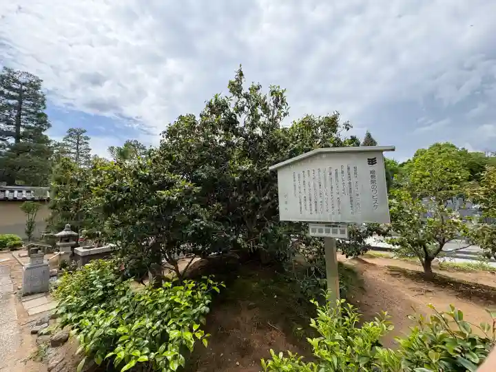 総見院の{uncategorized: "未分類", other: "その他", undefined: "問題あり", building: "その他建物", grave: "お墓", sacred_gate: "鳥居", guardian: "狛犬", statue: "像", buddha: "仏像", history: "歴史", nature: "自然", garden: "庭園", animal: "動物", pagoda: "塔", temizu: "手水舎", mountain_gate: "山門・神門", sanctuary: "本殿・本堂", subordinate: "末社・摂社", art: "芸術", scenery: "景色", jizo: "地蔵", ema: "絵馬", goshuin: "御朱印", omikuji: "おみくじ", items: "授与品その他", amulet: "お守り", goshuincho: "御朱印帳", eats: "食事", festival: "お祭り", votive_dance: "神楽", shichigosan: "七五三参", wedding: "結婚式", experience: "体験その他", initially: "初詣", around: "周辺", anti_infection: "感染症対策"}