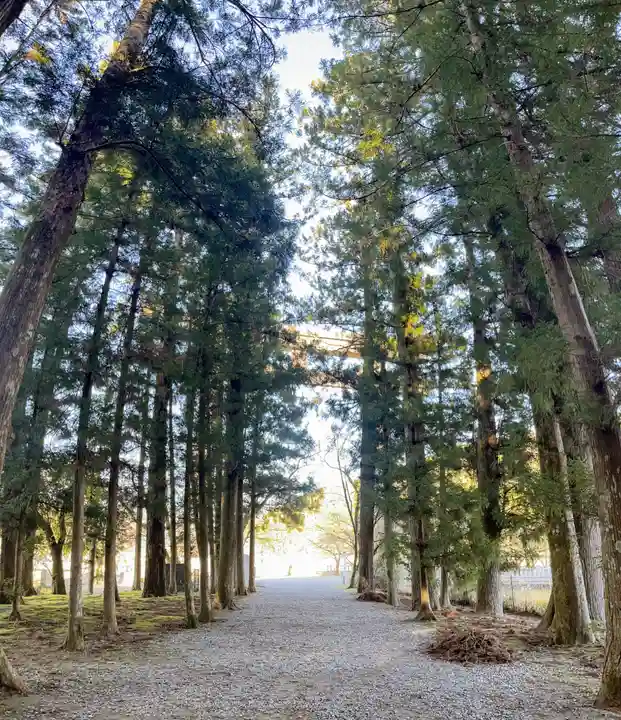 大斎原(熊野本宮大社旧社地)(和歌山県)
