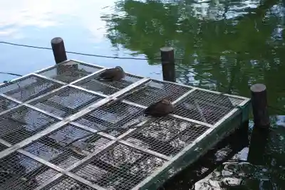 洗足池弁財天(東京都)