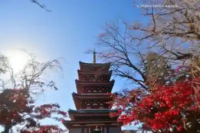 本土寺(千葉県)