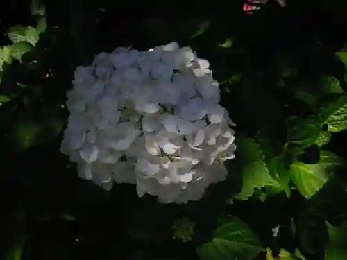 御霊神社の自然