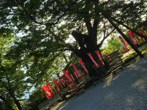 秩父今宮神社の自然