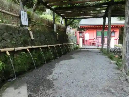 富士山本宮浅間大社の手水