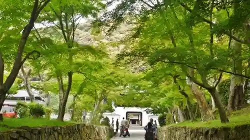 興聖寺（興聖寶林禅寺）のその他建物