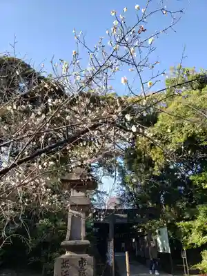 赤坂氷川神社のその他建物
