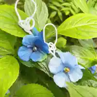 釧路一之宮 厳島神社(北海道)