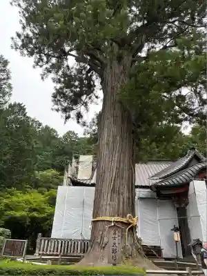 河口浅間神社(山梨県)