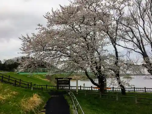 水神神社の自然