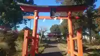 氷川神社(埼玉県)