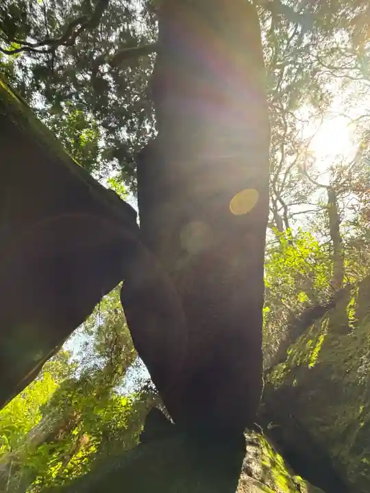 筑波山神社 女体山御本殿(茨城県)