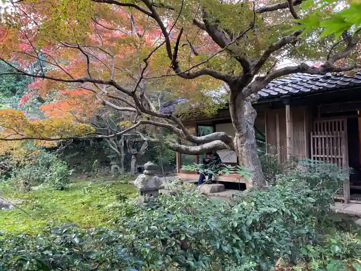 厭離庵(京都府)