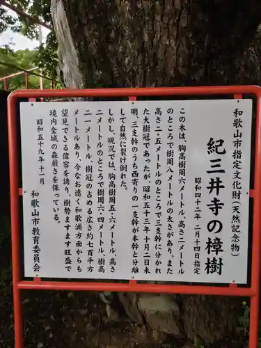 金剛宝寺（紀三井寺）(和歌山県)